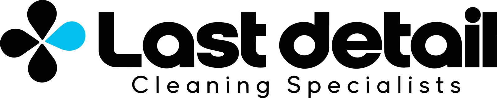 lastdetailcleaning.com